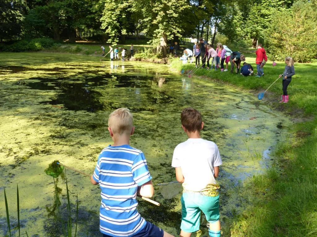 Foto: Teilnehmer des KinderFerienspaß-Biosphäre untersuchen einen Teich auf Kleinlebewesen. Fotoautor: Frank Hermann