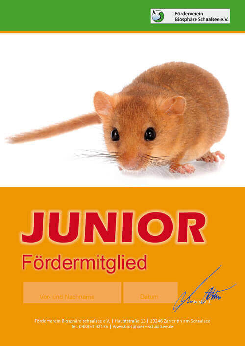 Bild des Formulars für die Junior Fördermitgliedschaft