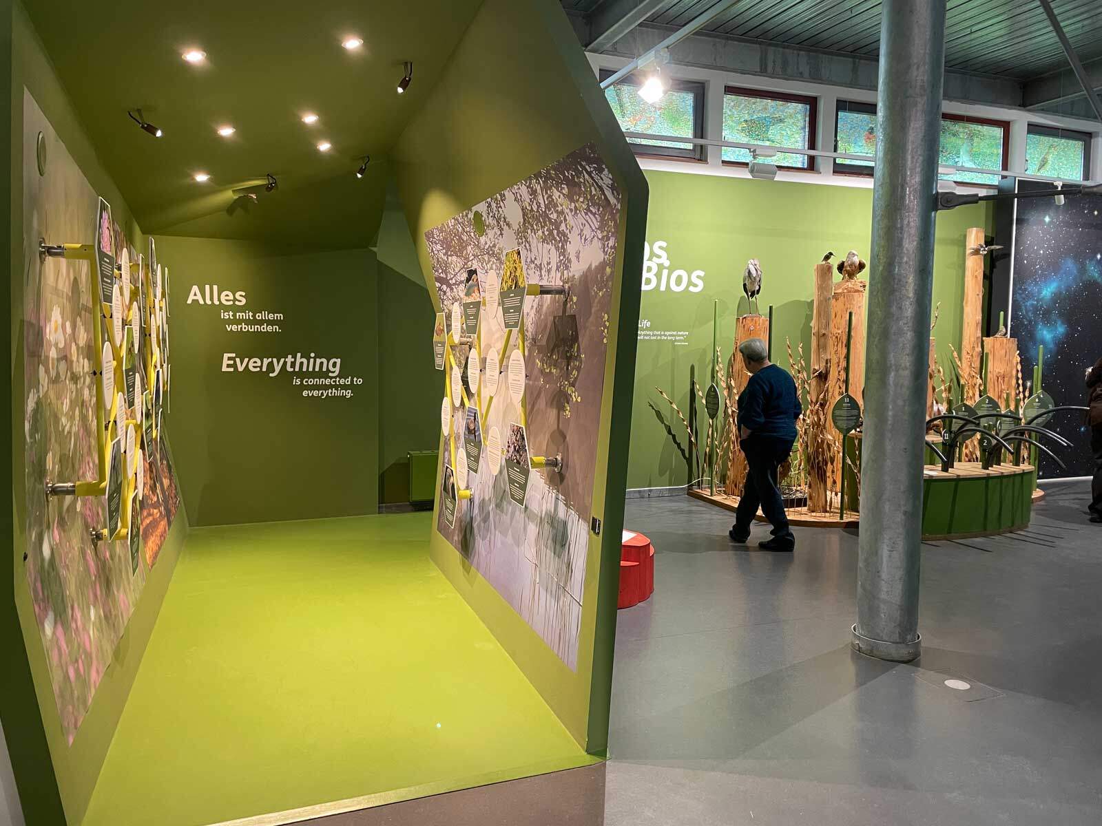 Ausstellung im Informationszentrum PAHLHUUS (Eintritt frei)