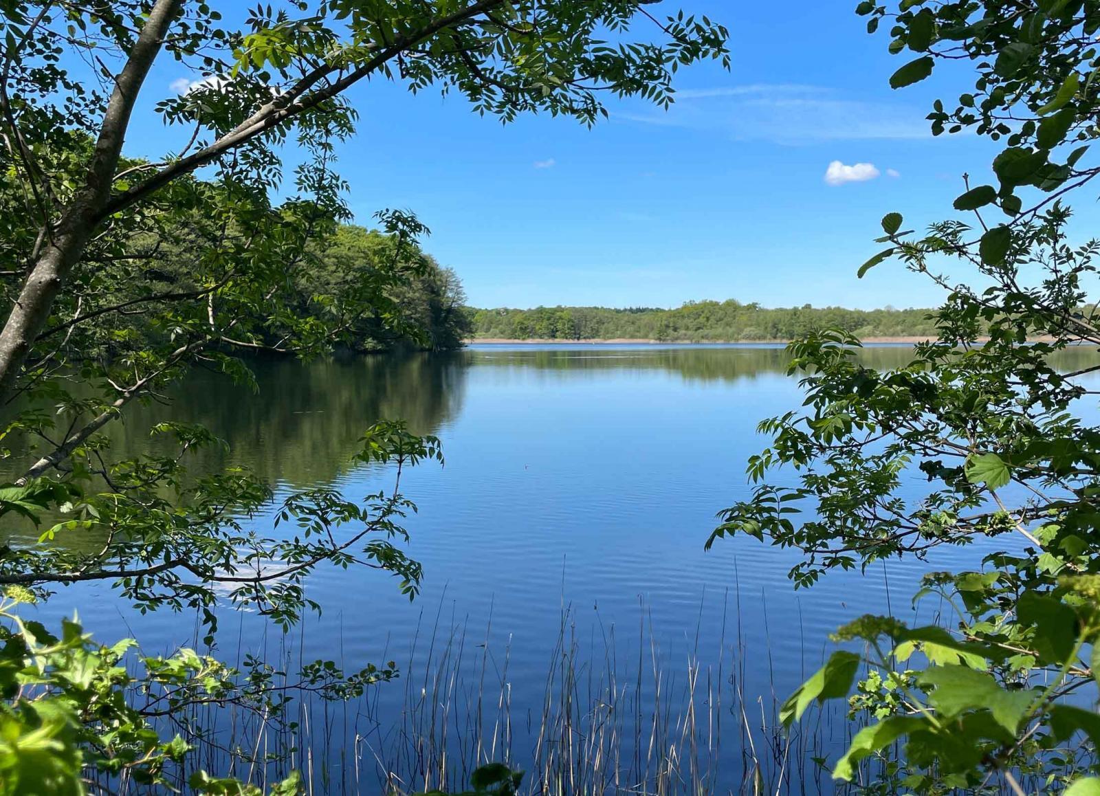 Der Kirchensee in Zarrentin am Schaalsee.