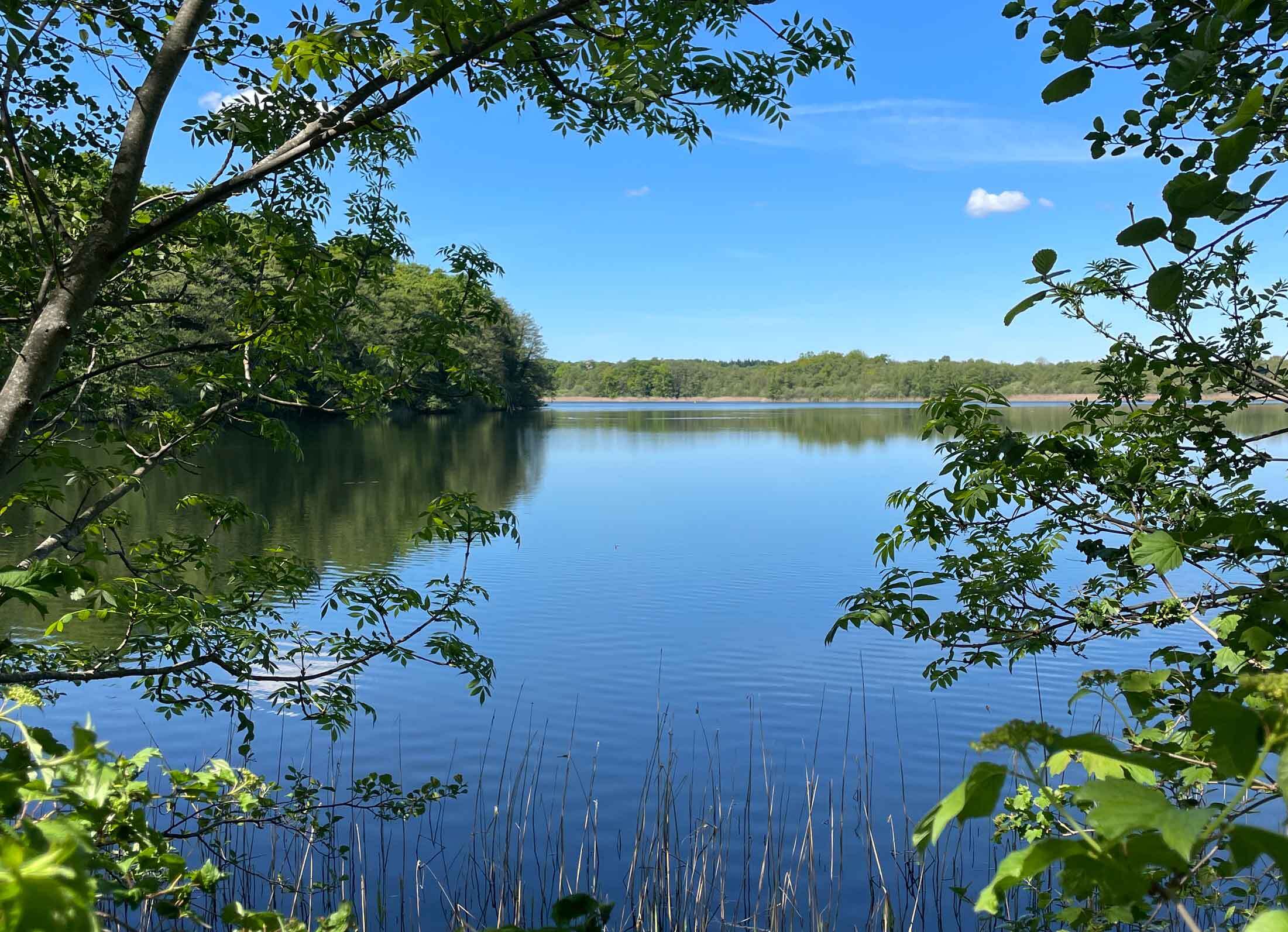Der Kirchensee in Zarrentin am Schaalsee.