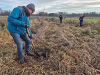 Bäume an der Schilde
