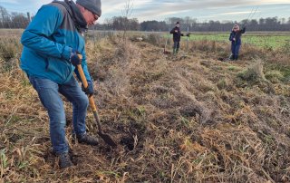 Bäume an der Schilde
