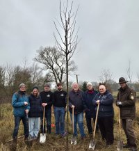 Zitterpappel im Jahrebaumgarten Dechow