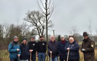 Zitterpappel im Jahrebaumgarten Dechow