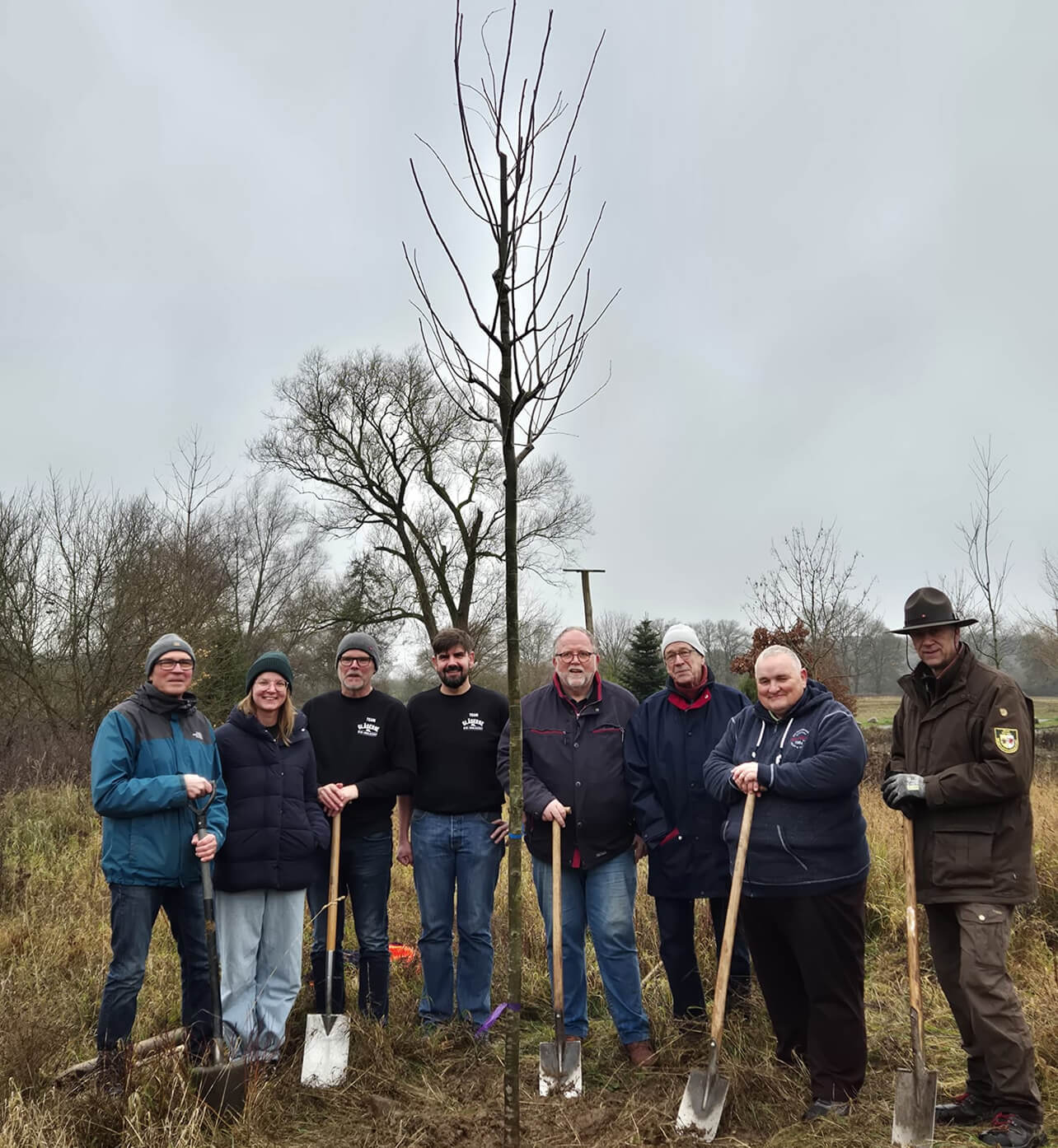 Zitterpappel Zitterpappel im Jahrebaumgarten Dechow